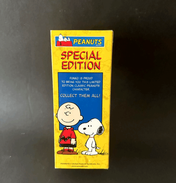 Peanuts CHARLIE BROWN Surfer bobble-head 15cm Funko Wacky Wobbler - Image 3