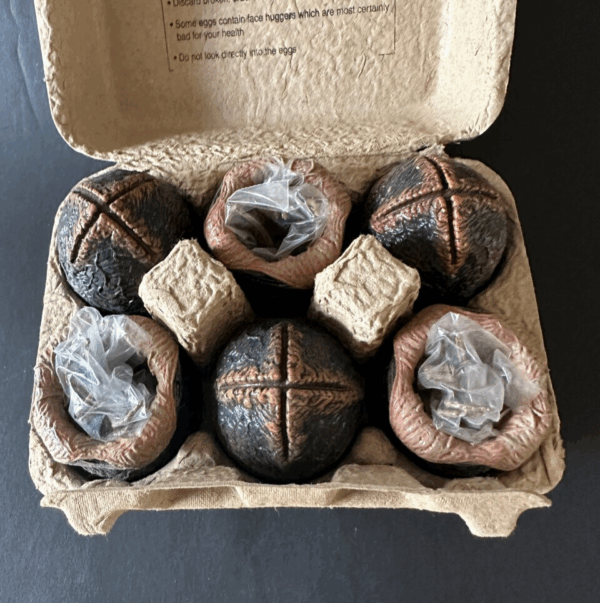 ALIEN Eggs Facehugger PVC Neca - Image 2